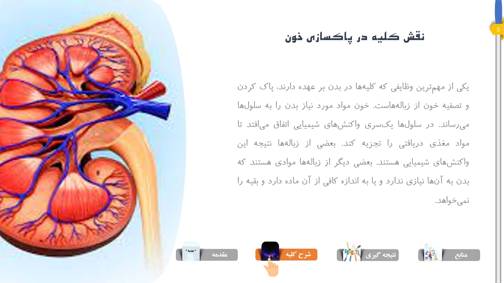 پاورپوینت در مورد کلیه و ساختار آن